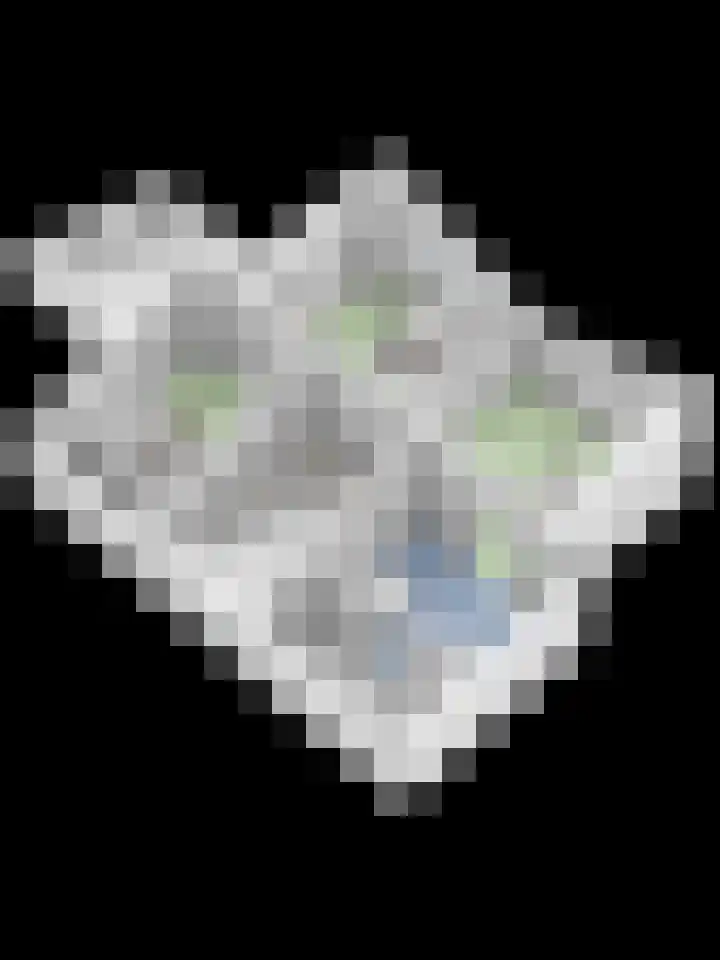 Rozenbroek 15 Milsbeek thumbnail 81