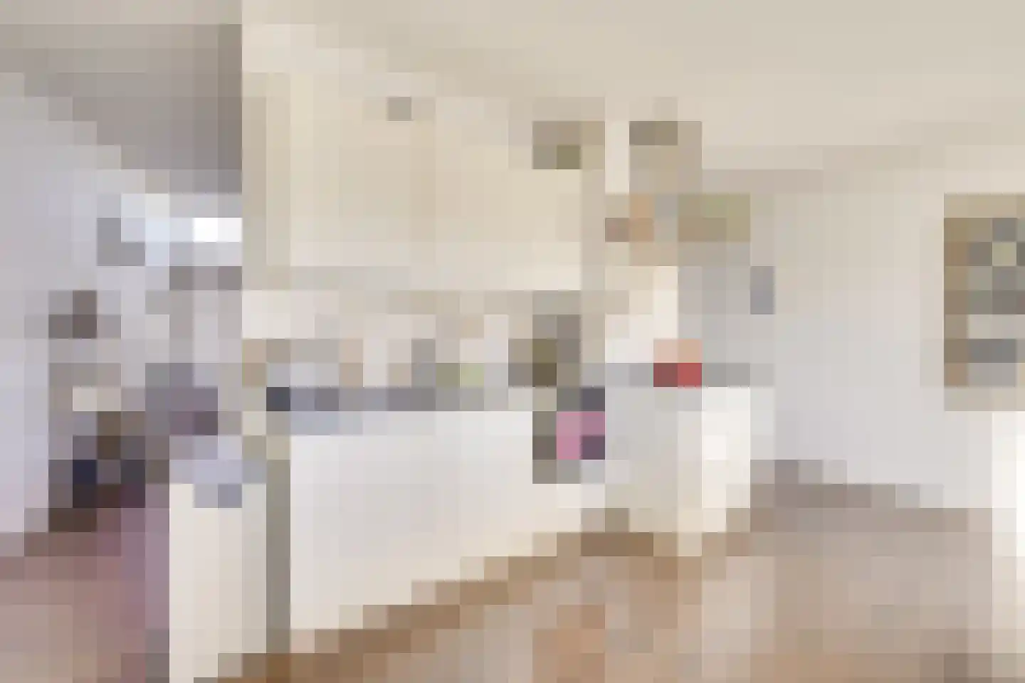 Rozenburg 13 Doorn thumbnail 25