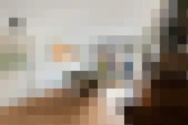 Rozenburg 23 Noordwijk thumbnail 6