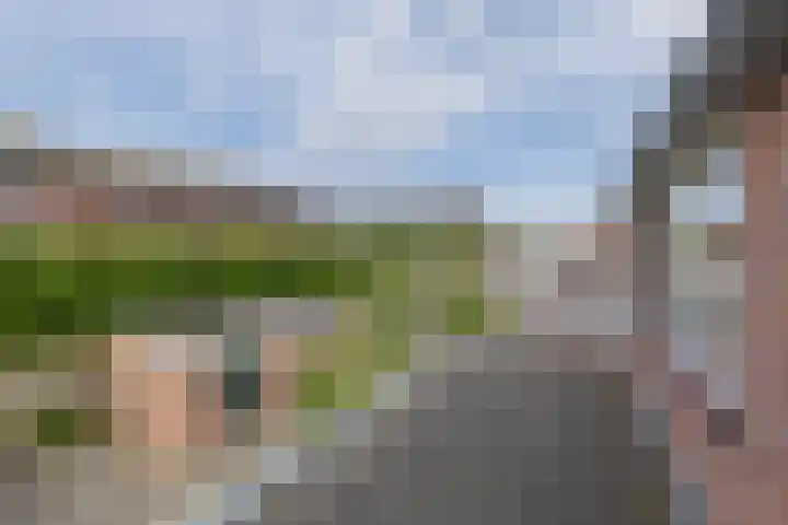 Rozenburg 27 Noordwijk thumbnail 18