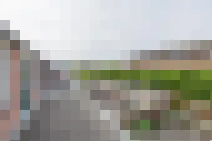 Rozenburg 27 Noordwijk thumbnail 19