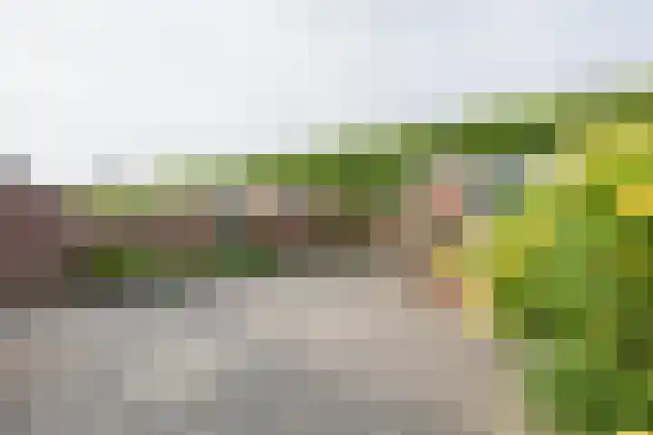 Rozenburg 27 Noordwijk thumbnail 26