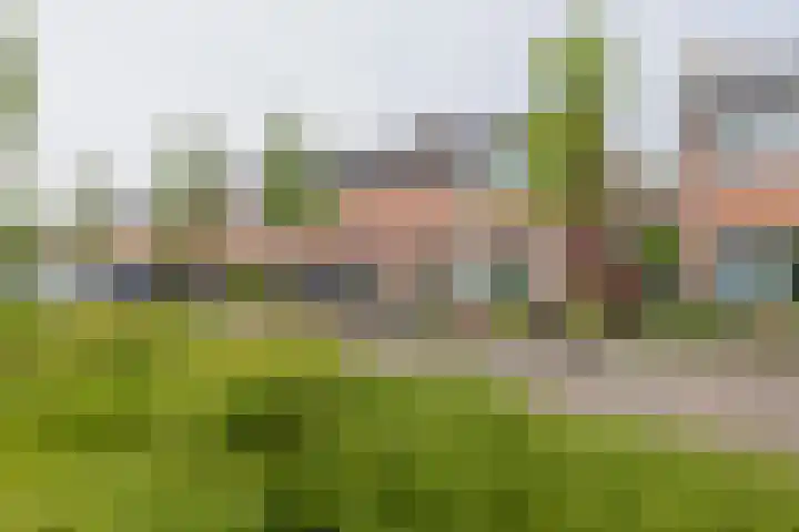 Rozenburg 27 Noordwijk thumbnail 28