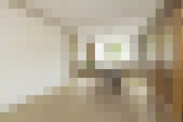Rozenburg 27 Noordwijk thumbnail 7