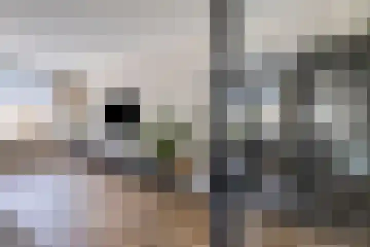 Rozenburg 42 Emmeloord thumbnail 10