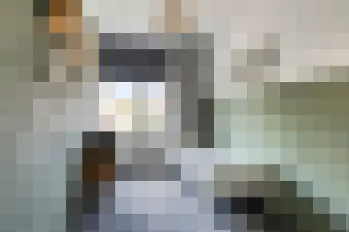 Rozenburg 42 Emmeloord thumbnail 37