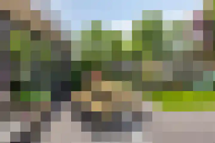 Rozenburg 42 Emmeloord thumbnail 42