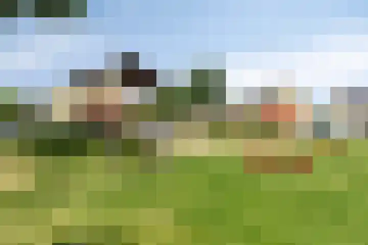 Rozenburg 42 Emmeloord thumbnail 5