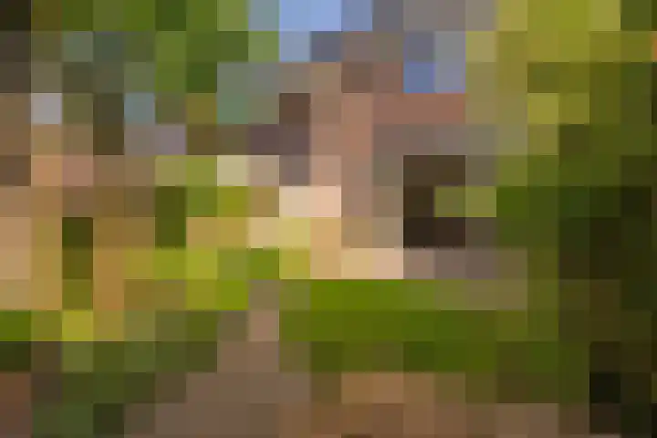 Rozenburg 7 Weurt thumbnail 10