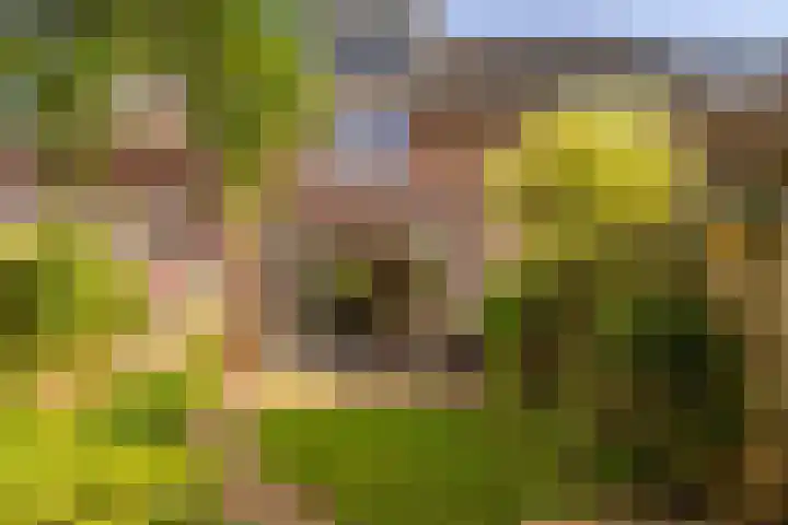 Rozenburg 7 Weurt thumbnail 11