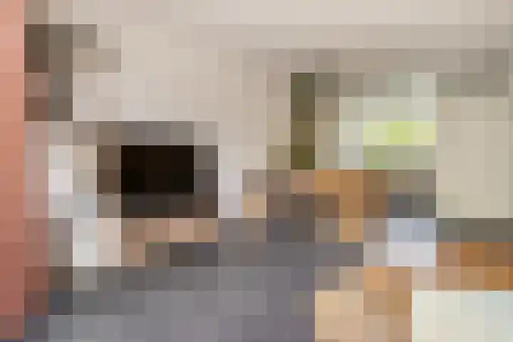 Rozenburg 7 Weurt thumbnail 13