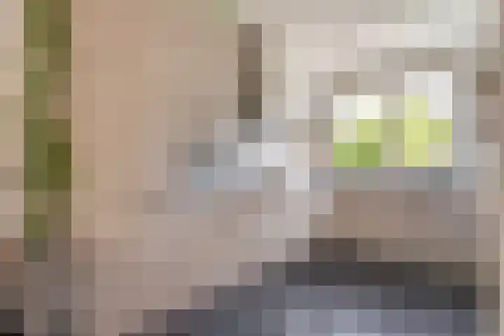 Rozenburg 7 Weurt thumbnail 15