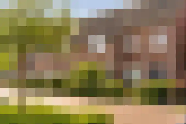 Rozenburg 7 Weurt thumbnail 26