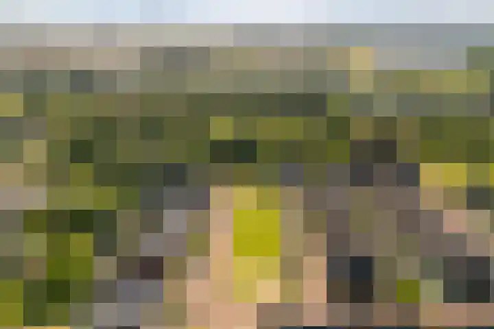 Rozenburg 7 Weurt thumbnail 29