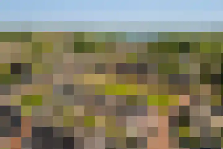 Rozenburg 7 Weurt thumbnail 30