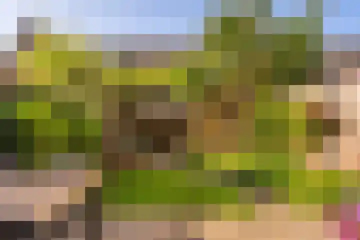 Rozenburg 7 Weurt thumbnail 7
