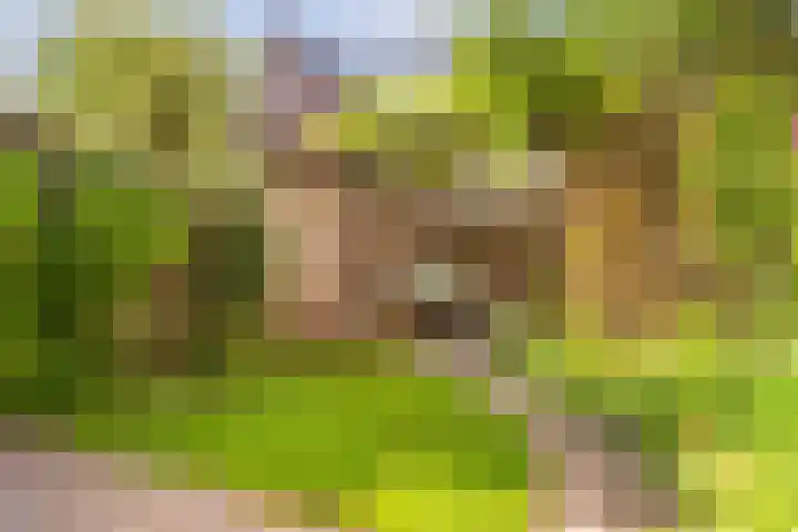 Rozenburg 7 Weurt thumbnail 8