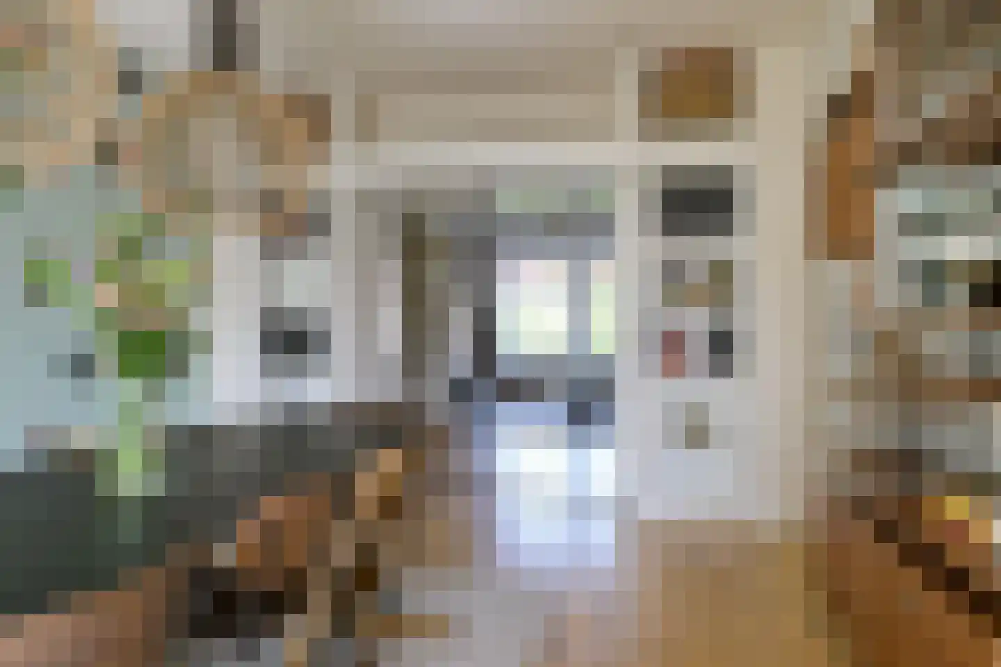 Rozenburglaan 112 B Rotterdam thumbnail 17