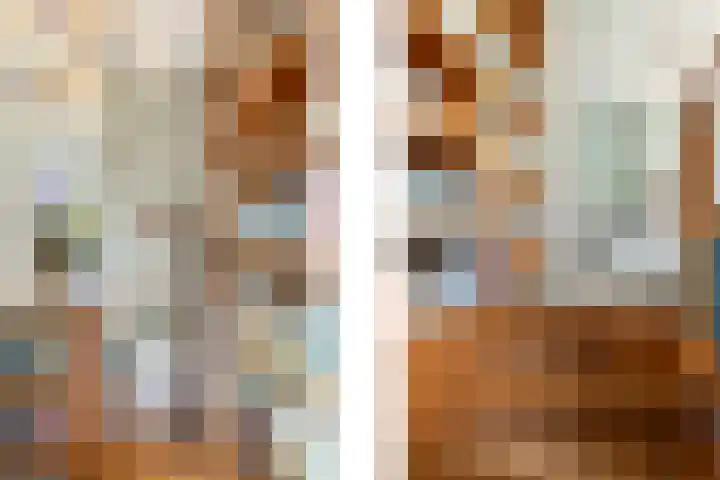 Rozenburglaan 17 Rotterdam thumbnail 13