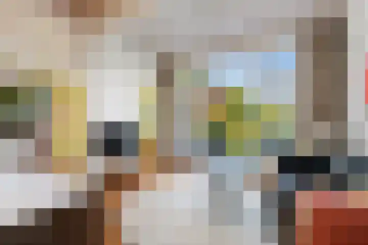 Rozenburglaan 17 Rotterdam thumbnail 19