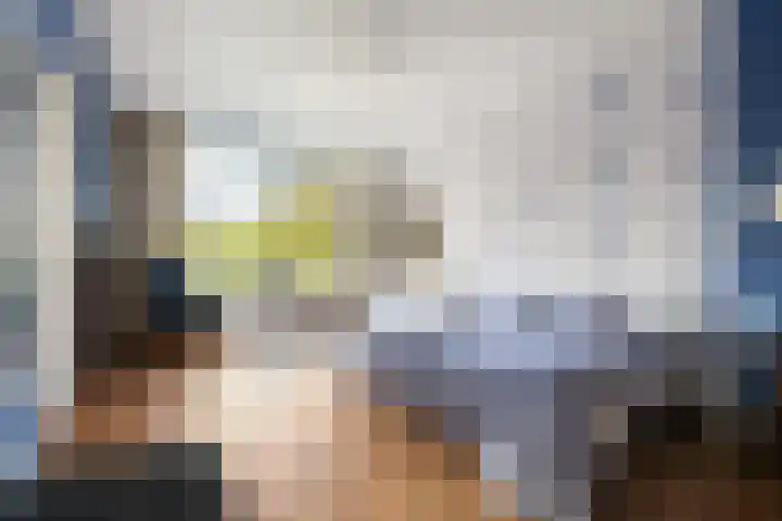 Rozenburglaan 17 Rotterdam thumbnail 25