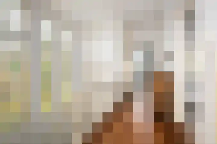 Rozenburglaan 17 Rotterdam thumbnail 32