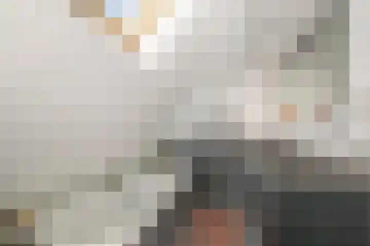 Rozenburglaan 17 Rotterdam thumbnail 43