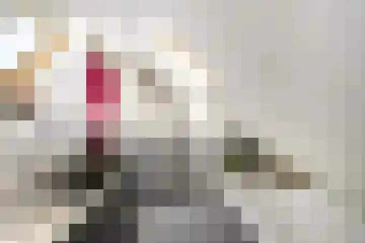 Rozenburglaan 17 Rotterdam thumbnail 44