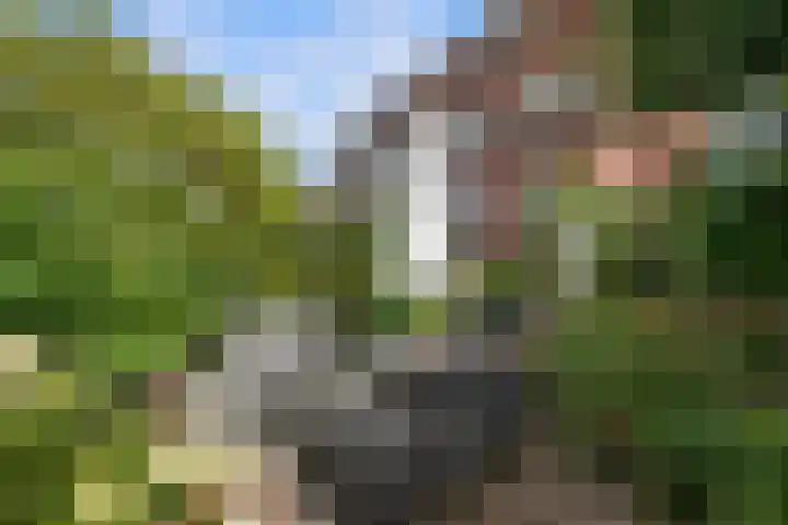 Rozenburglaan 17 Rotterdam thumbnail 53
