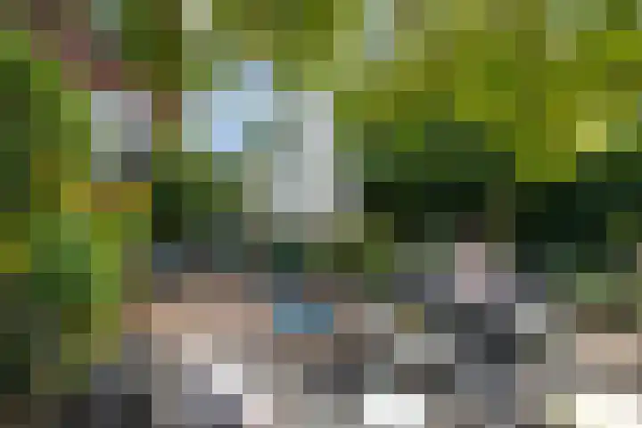 Rozenburglaan 17 Rotterdam thumbnail 55