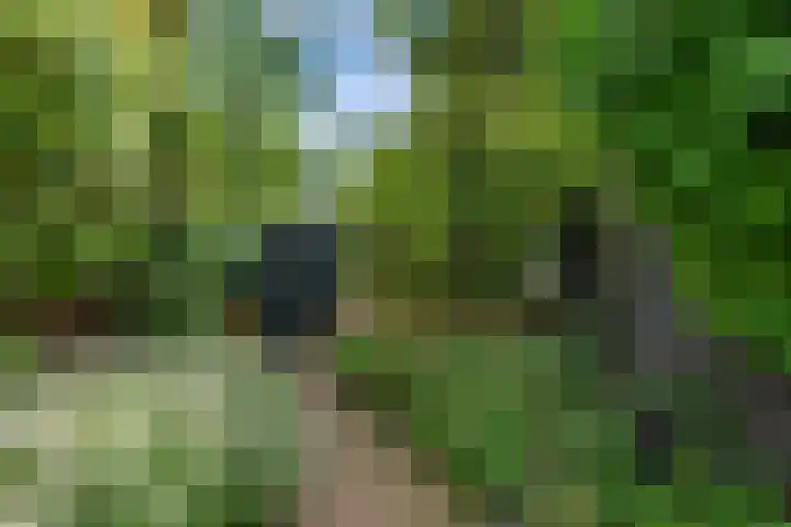 Rozenburglaan 17 Rotterdam thumbnail 56