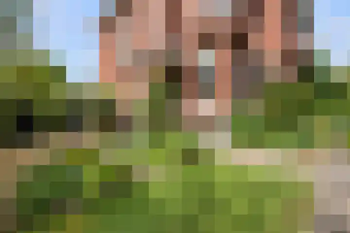 Rozenburglaan 17 Rotterdam thumbnail 58