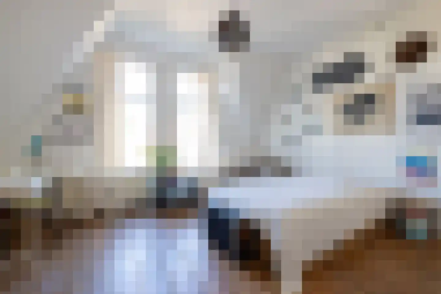 Rozenburglaan 52 A Rotterdam thumbnail 32