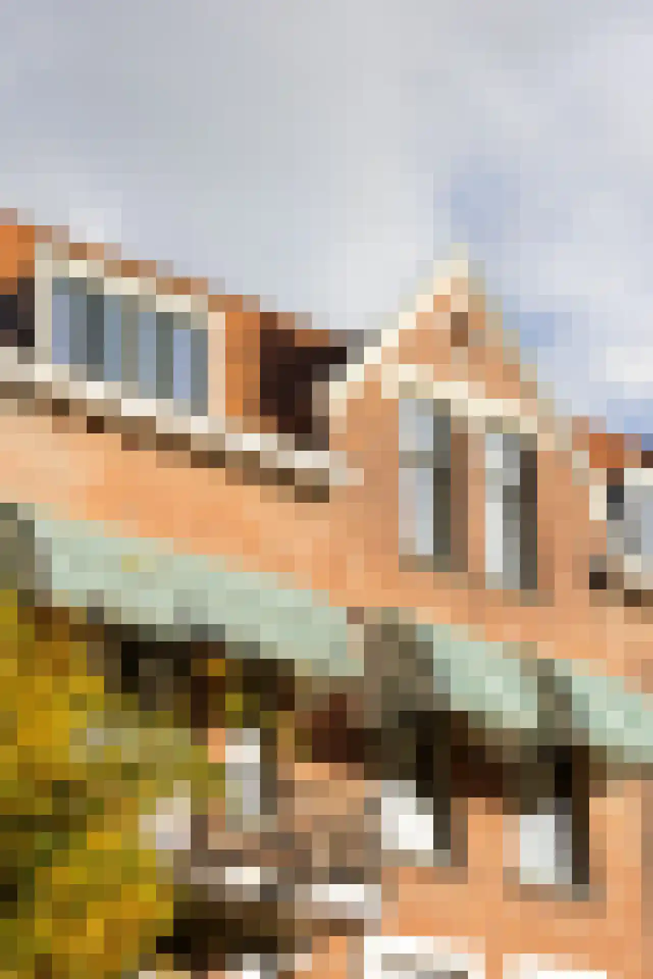 Rozenburglaan 52 A Rotterdam thumbnail 6