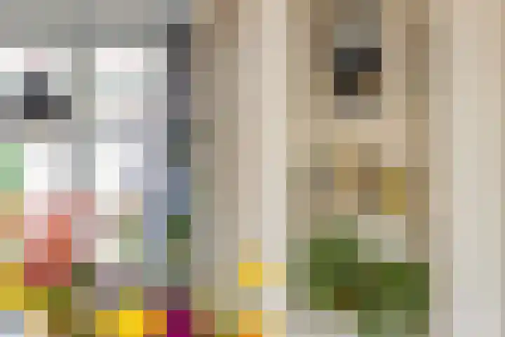 Rozenburglaan 70 A Rotterdam thumbnail 13