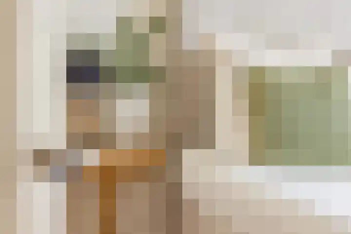Rozenburglaan 70 A Rotterdam thumbnail 30