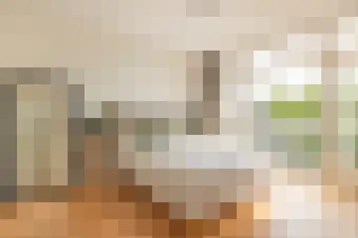 Rozenburglaan 70 A Rotterdam thumbnail 31