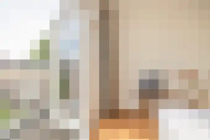 Rozenburglaan 70 A Rotterdam thumbnail 32