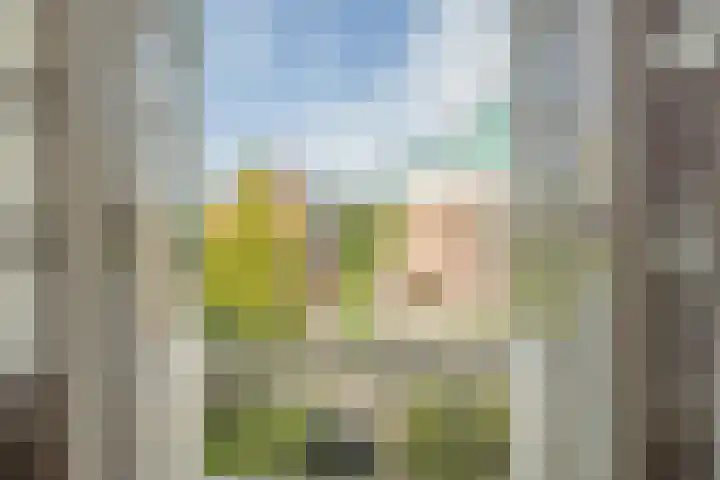 Rozenburglaan 70 A Rotterdam thumbnail 6