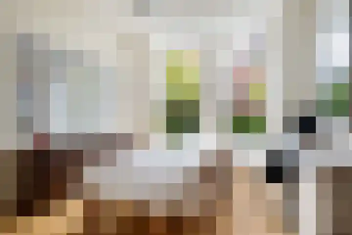 Rozenburglaan 74 Rotterdam thumbnail 14