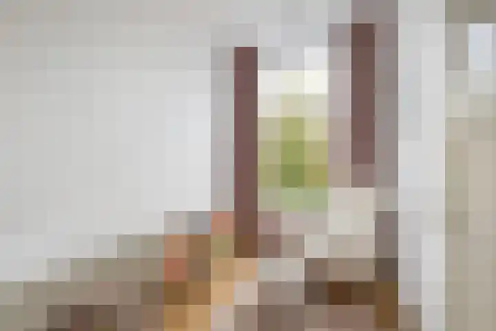 Rozenburglaan 74 Rotterdam thumbnail 32
