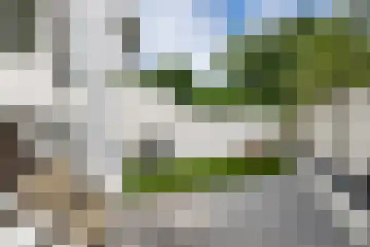 Rozenburglaan 74 Rotterdam thumbnail 42