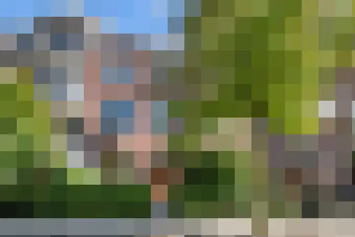 Rozenburglaan 74 Rotterdam thumbnail 48