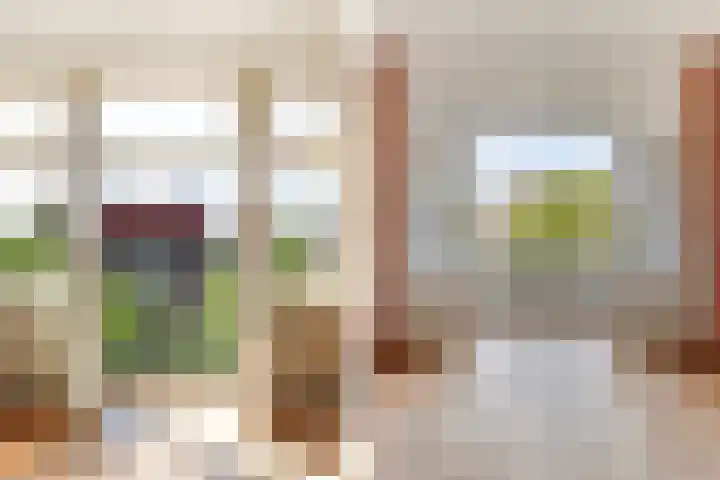 Rozenburglaan 90 B Rotterdam thumbnail 20