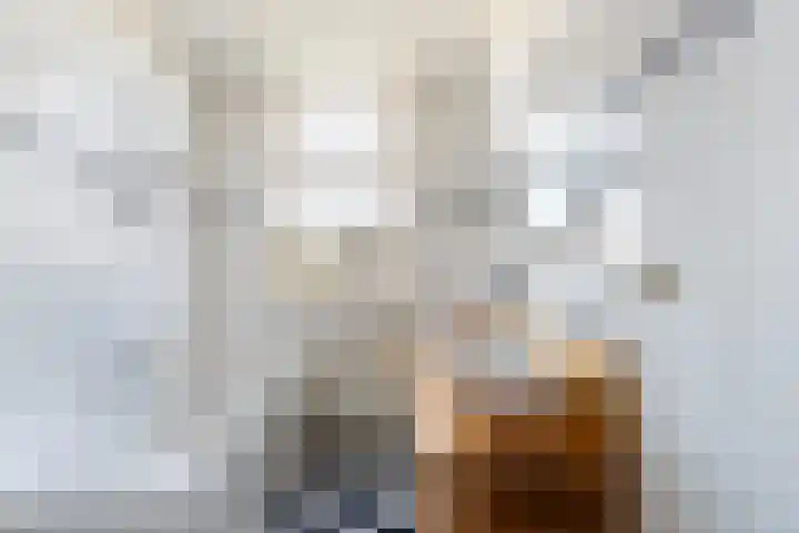 Rozenburglaan 90 B Rotterdam thumbnail 33