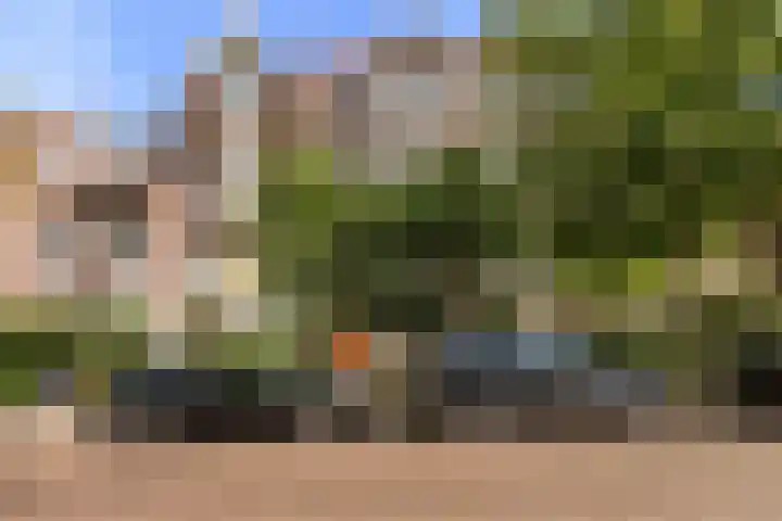 Rozenburglaan 90 B Rotterdam thumbnail 41