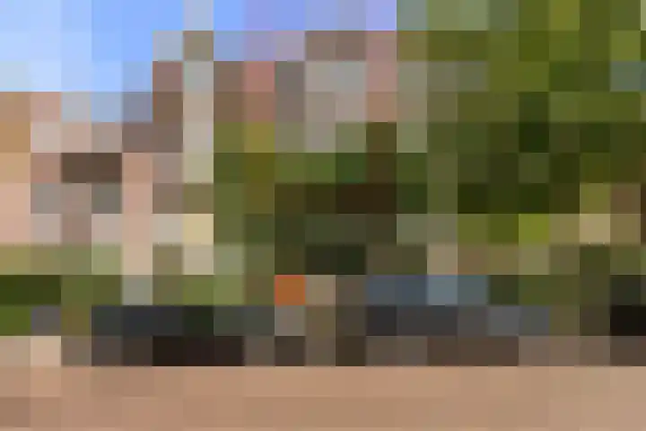 Rozenburglaan 90 B Rotterdam thumbnail 5
