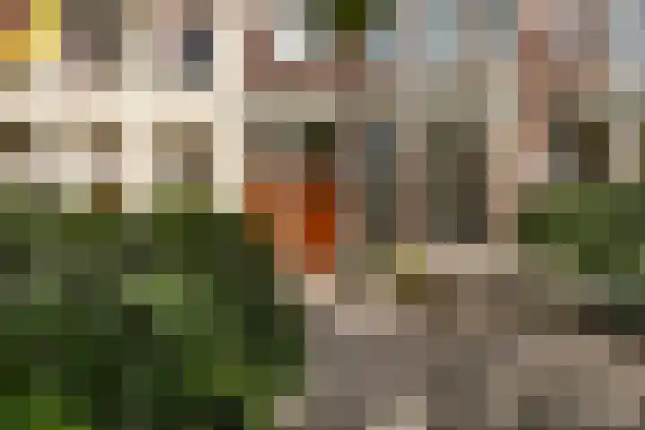Rozenburglaan 90 B Rotterdam thumbnail 6