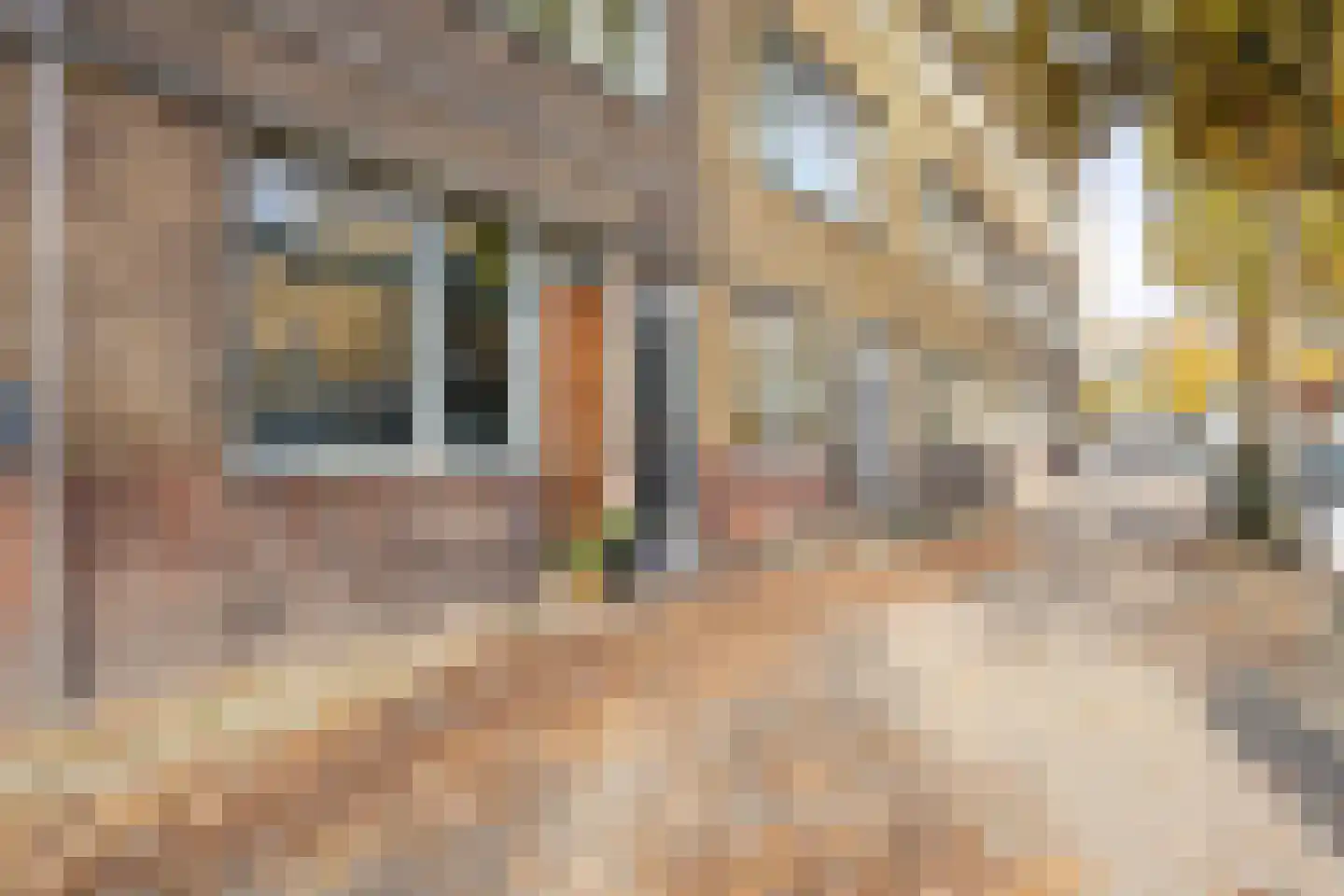 Rozenburgsestraat 14 C Schiedam thumbnail 26