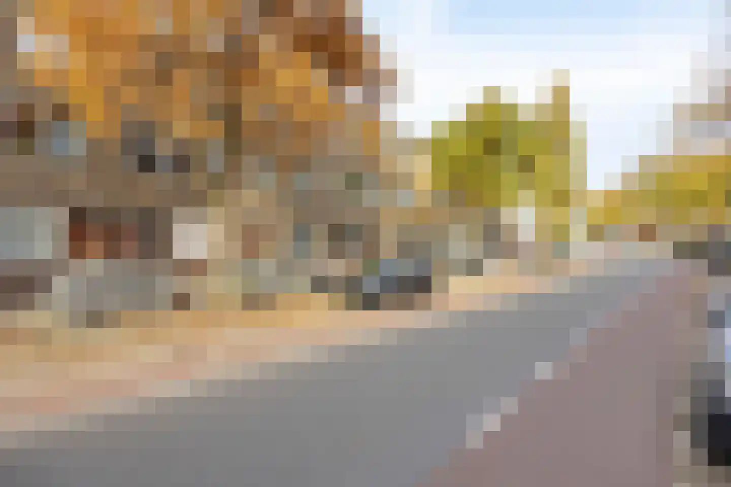 Rozenburgsestraat 14 C Schiedam thumbnail 27